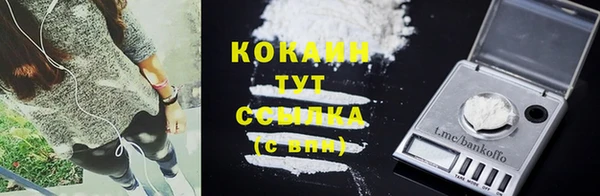 сатива Арсеньев