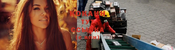 сатива Арсеньев