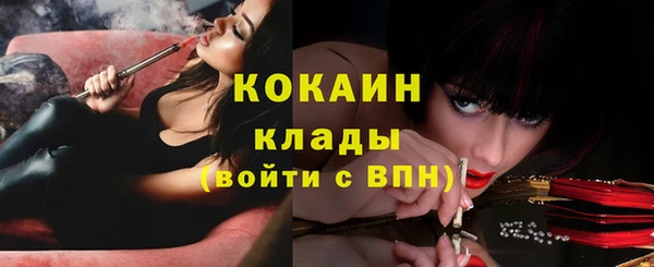 сатива Арсеньев