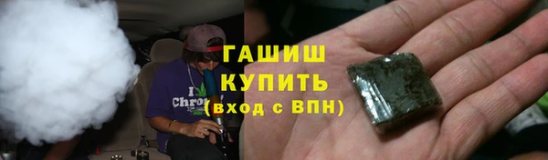 сатива Арсеньев