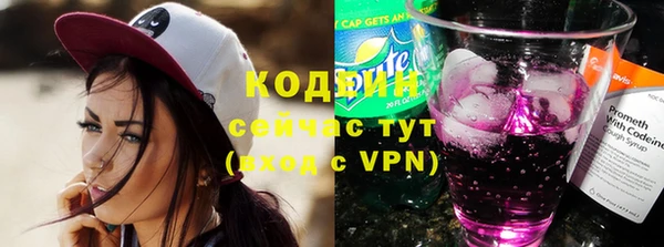 сатива Арсеньев