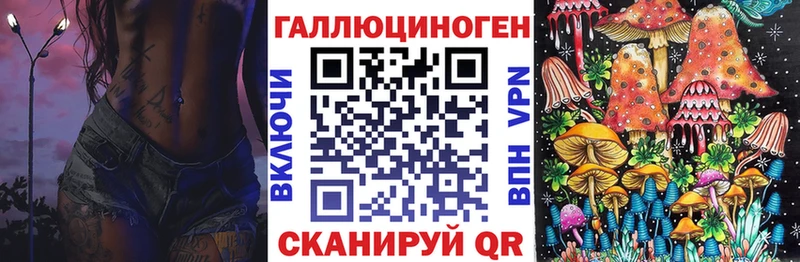 Купить закладки  Ухта  Галлюциногенные грибы Psilocybe 